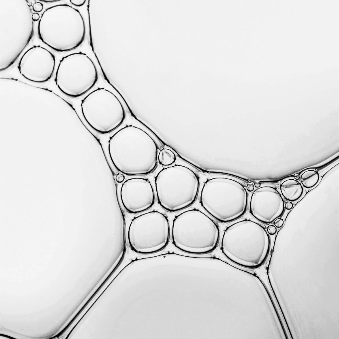 Men's Swiss Perfection Active Face Gel Cleanser